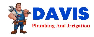 Trusted plumber in PETACA